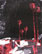Phantomscape