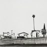 Untitled (Lonely Boy)