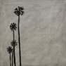 Untitled (Hold On)